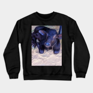 RR Crewneck Sweatshirt